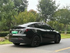 Tesla Model Y Edition - ფოტო 3