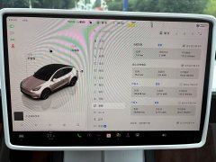 Tesla Model Y Edition - ფოტო 4