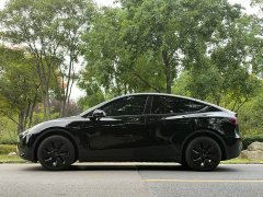 Tesla Model Y Edition - ფოტო 9