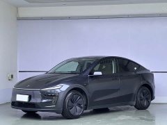 Tesla Model Y Edition - ფოტო 1