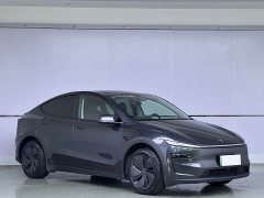 Tesla Model Y Edition - ფოტო 3