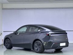 Tesla Model Y Edition - ფოტო 4
