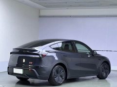 Tesla Model Y Edition - ფოტო 6