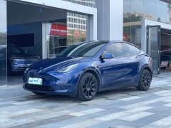 Tesla Model Y Long Range Edition - ფოტო 1