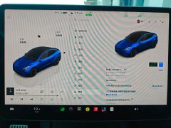 Tesla Model Y Long Range Edition - ფოტო 10