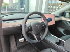 Tesla Model Y Long Range Edition - ფოტო 11
