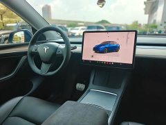 Tesla Model Y Long Range Edition - ფოტო 13