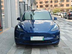 Tesla Model Y Long Range Edition - ფოტო 15