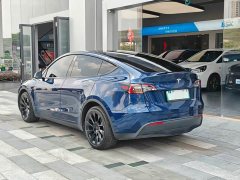 Tesla Model Y Long Range Edition - ფოტო 16