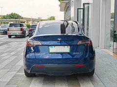 Tesla Model Y Long Range Edition - ფოტო 17