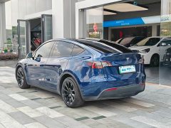 Tesla Model Y Long Range Edition - ფოტო 4