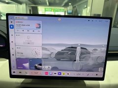 Zeekr 001 YOU Edition 100kWh AWD - ფოტო 13