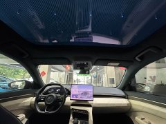 Zeekr 001 YOU Edition 100kWh AWD - ფოტო 18