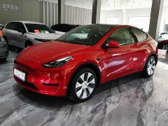 Tesla Model Y Edition - ფოტო 1