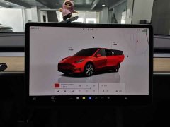 Tesla Model Y Edition - ფოტო 12