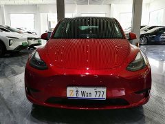 Tesla Model Y Edition - ფოტო 2