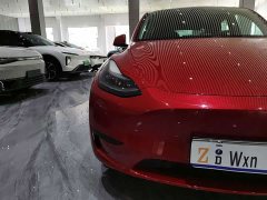 Tesla Model Y Edition - ფოტო 4