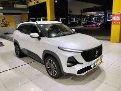 Baojun RS-3 1.5L CVT Version - ფოტო 2