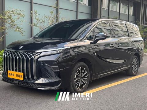 2025 Great V9 1.5TD 200km Luxury Version - ავტომობილი ჩინეთიდან