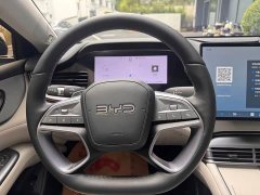 BYD 07 EV 705 Version - ფოტო 16