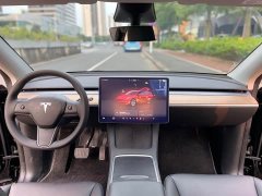 Tesla Model Y Edition - ფოტო 10