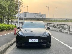 Tesla Model Y Edition - ფოტო 2
