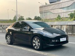 Tesla Model Y Edition - ფოტო 3