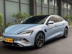 BYD Edition 700km Edition - ფოტო 1