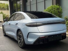 BYD Edition 700km Edition - ფოტო 4
