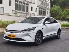 BYD L EV 545KM Version - ფოტო 1