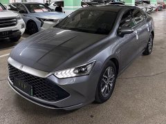 BYD PLUS DM-i 55KM Flagship Version - ფოტო 1