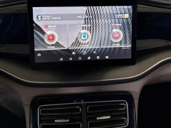 BYD PLUS DM-i 55KM Flagship Version - ფოტო 13