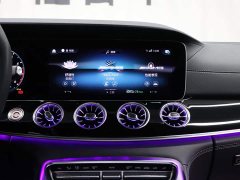 Mercedes-Benz AMG GT AMG GT 50 - ფოტო 18