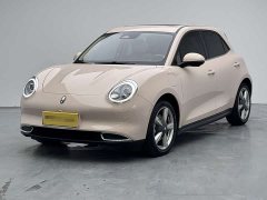 Ora 400kmStandard Range Premium Version - ფოტო 1