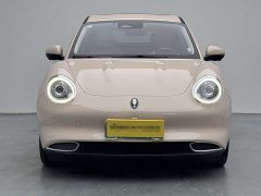 Ora 400kmStandard Range Premium Version - ფოტო 2