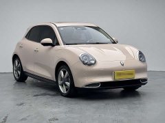 Ora 400kmStandard Range Premium Version - ფოტო 3