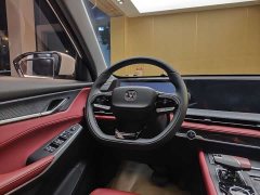 Changan CS75PLUS 1.5T Version - ფოტო 14