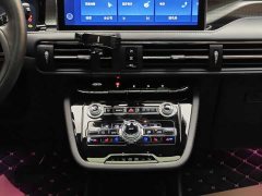 Changan 2.0T 2WDDeluxe Edition - ფოტო 20