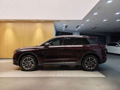Changan 2.0T 2WDDeluxe Edition - ფოტო 6