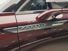 Changan 2.0T 2WDDeluxe Edition - ფოტო 7