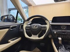 Lexus RX 300 2WD Edition VI - ფოტო 14