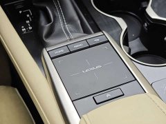 Lexus RX 300 2WD Edition VI - ფოტო 20
