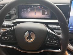 Denza D9 DM-i Smart Drive Edition 1020 AWDPremium Version - ფოტო 10