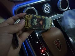 FAW H9 2.0T Edition - ფოტო 9