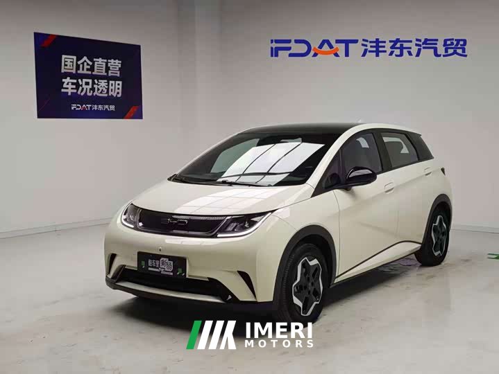 BYD 405km Fashion Edition