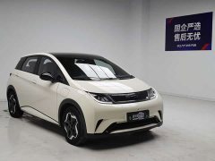 BYD 405km Fashion Edition - ფოტო 3