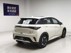 BYD 405km Fashion Edition - ფოტო 4