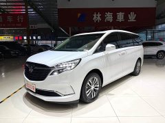 Buick GL8 ES 653T Deluxe Version - ფოტო 1