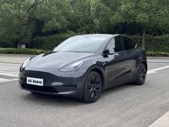 Tesla Model Y Edition - ფოტო 1