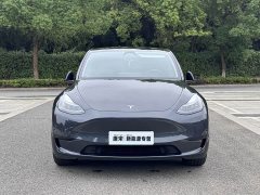 Tesla Model Y Edition - ფოტო 2